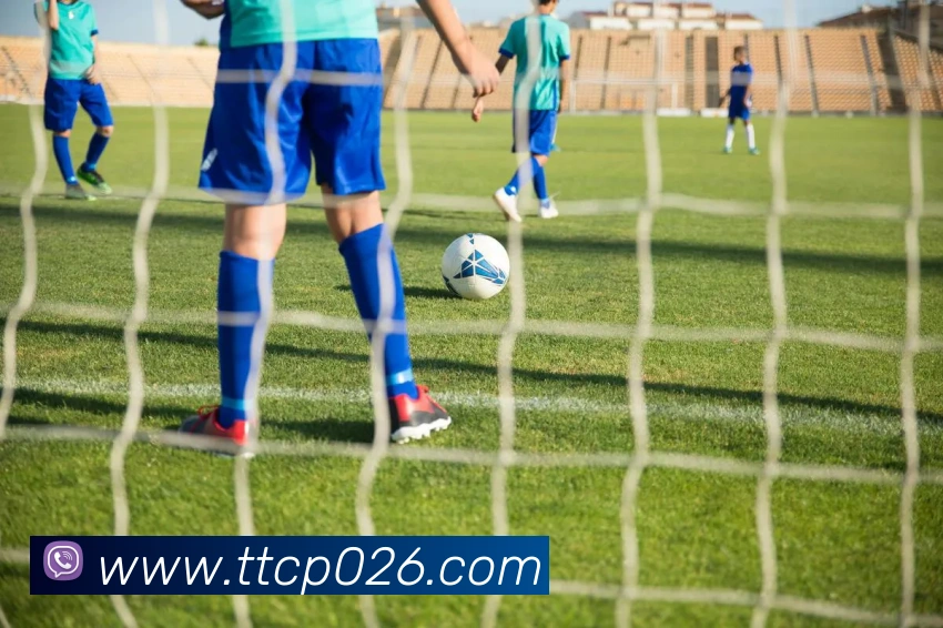 App Interface Preview