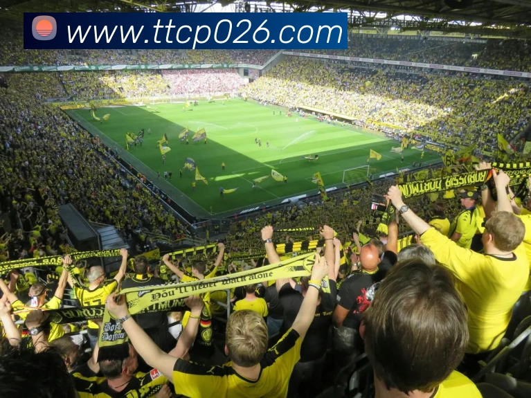 天天彩票官方网站APP 封面图